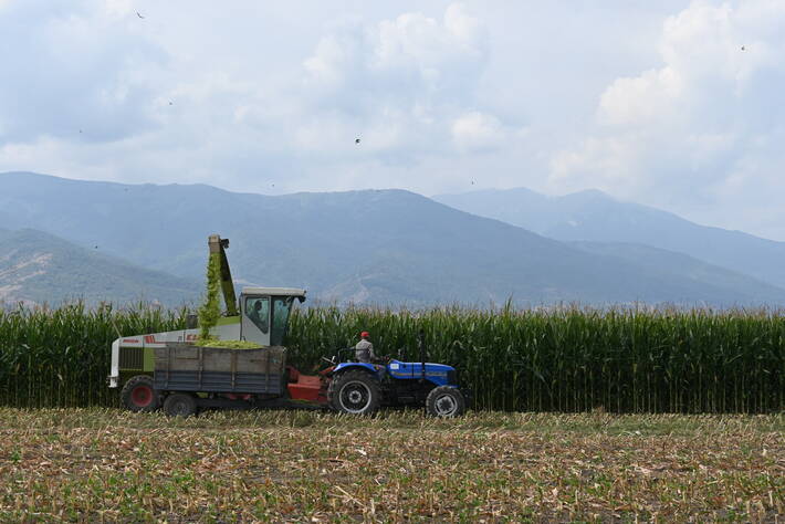 Campo di mais in Macedonia del Nord - Photo: ©UN/Aleksandar Dimishkovski