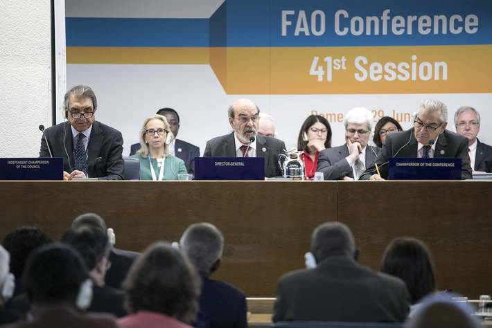 Photo: ©FAO/Giuseppe Carotenuto