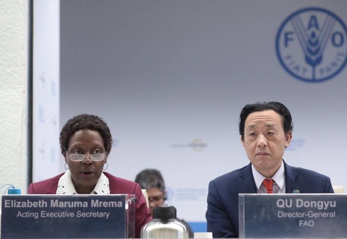 Elizabeth Maruma Mrema, Segretario Esecutivo ad interim della CBD; QU Dongyu, Direttore Generale della FAO (Photo: ©FAO/Alessandra Benedetti)