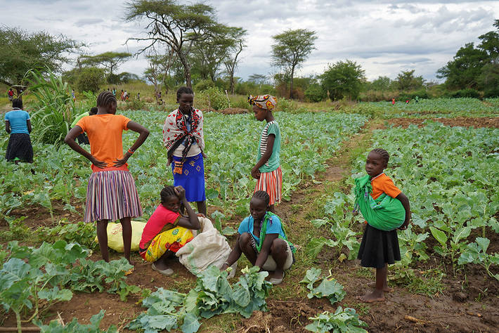 Photo: ©FAO/Ariel Sophia Bardi