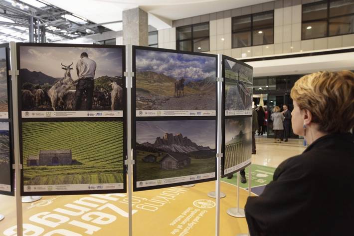 Esibizione fotografica ‘Agricultural landscapes in protected areas of Italy’ organizzata alla FAO dalla Fondazione UniVerde.©FAO/Pier Paolo Cito