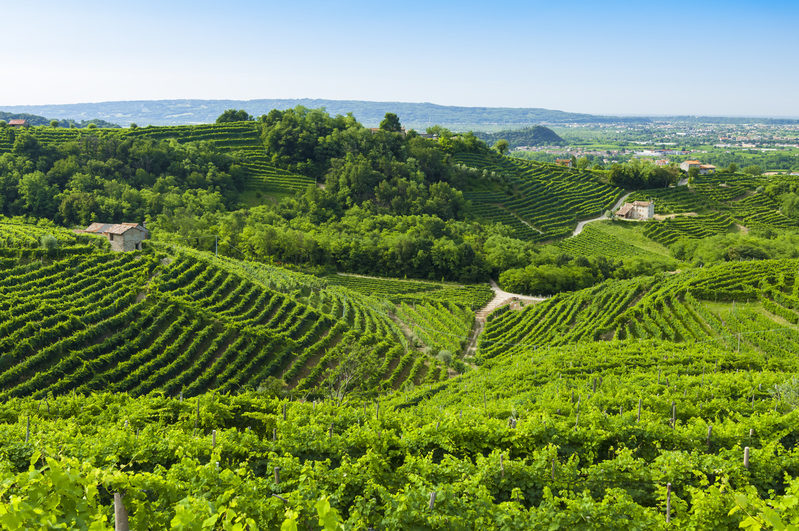 Le colline del Prosecco