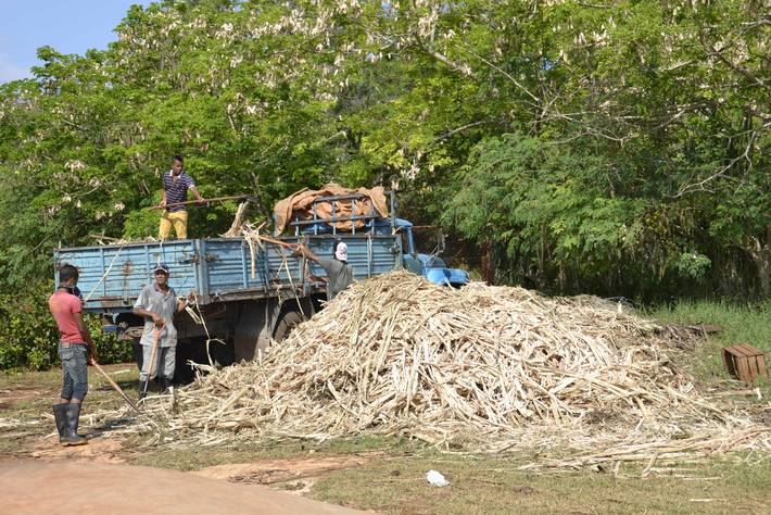 Contadini al lavoro a Cuba - Photo: ©FAO