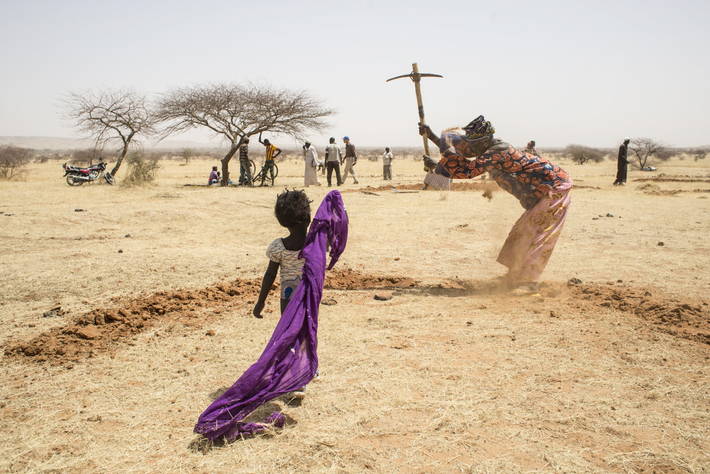 Photo: ©FAO/Giulio Napolitano