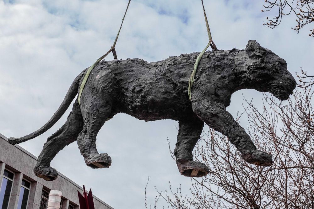 foto: &copy; Federco Feusi