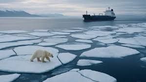 Polo Artico (foto: IAI)