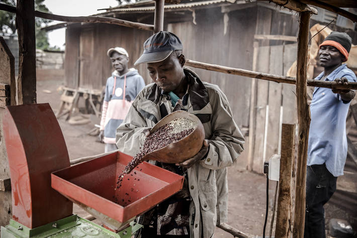 Photo: ©FAO/Luis Tato