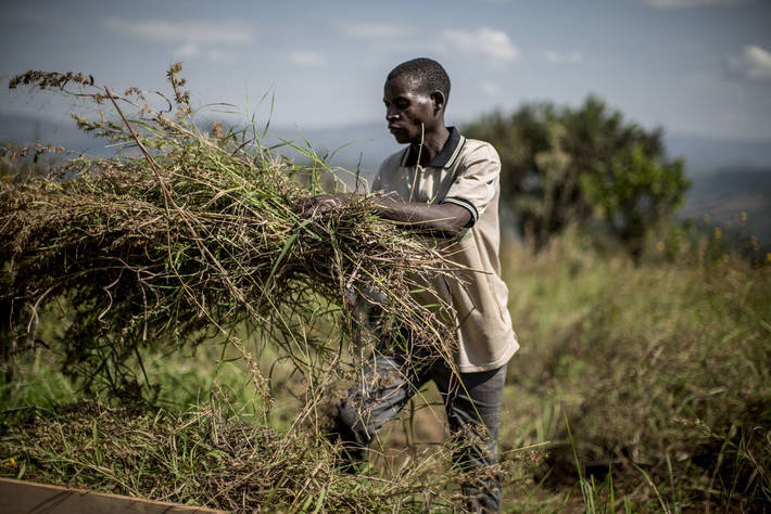 Photo: ©FAO//Marco Longari/FAO