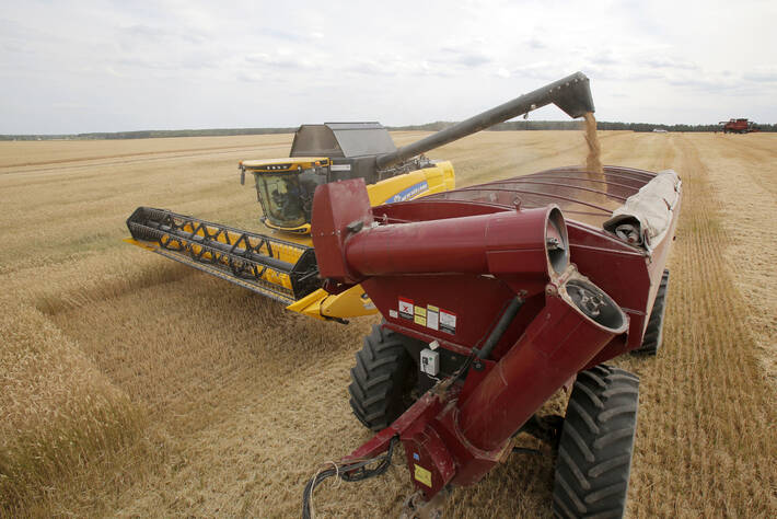 Raccolta di grano in Ucrain - foto FAO