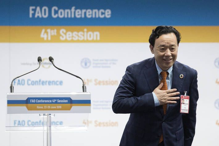 FAO: il direttore generale Qu Dongyu - foto: FAO