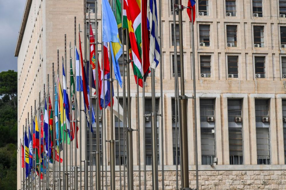 Farnesina - foto: Ufficio Stampa