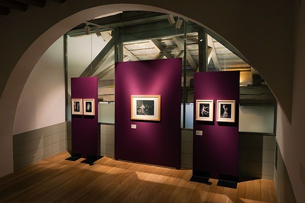 Leonor Fini e Collezione Grafica Bassi Rathgeb e donazione amb. Ugo Gabriele de Mohr