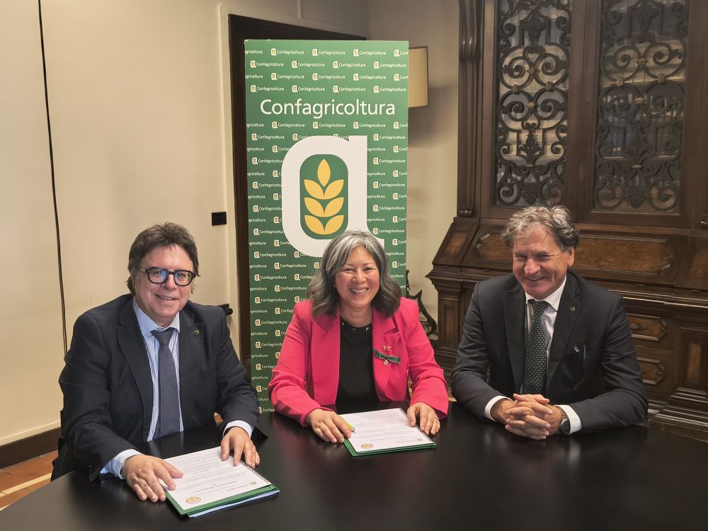 da sinistra: Gambuzza, Nguyen e Caponi