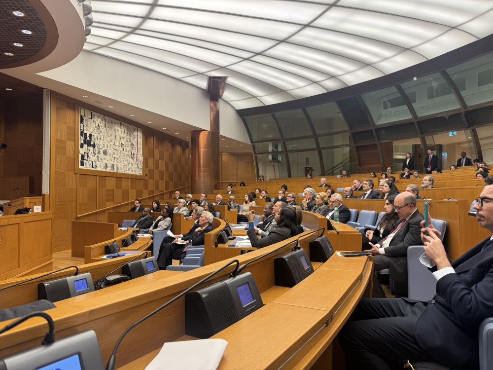 CNA World Roma&ndash;Lazio a celebrazione del Commonwealth Day a Roma