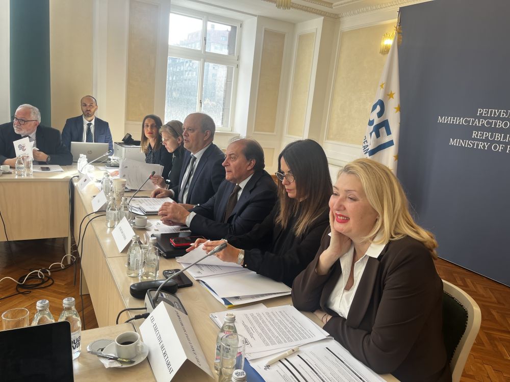 La riunione di Belgrado - foto: InCE