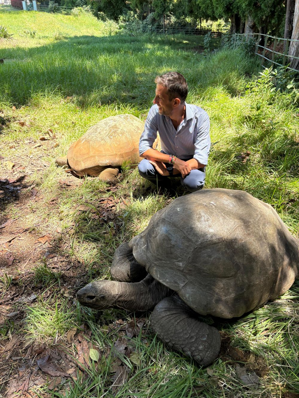 Console Mignacca visita tartaruga Jonathan a isola di Sant&rsquo;Elena - foto: Consolato