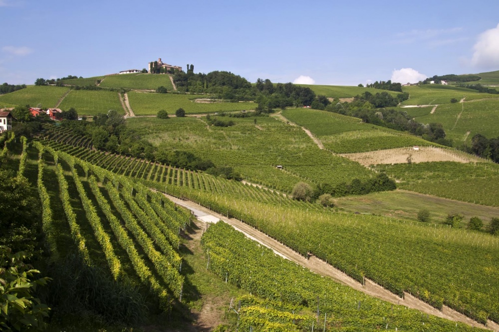 Le Langhe