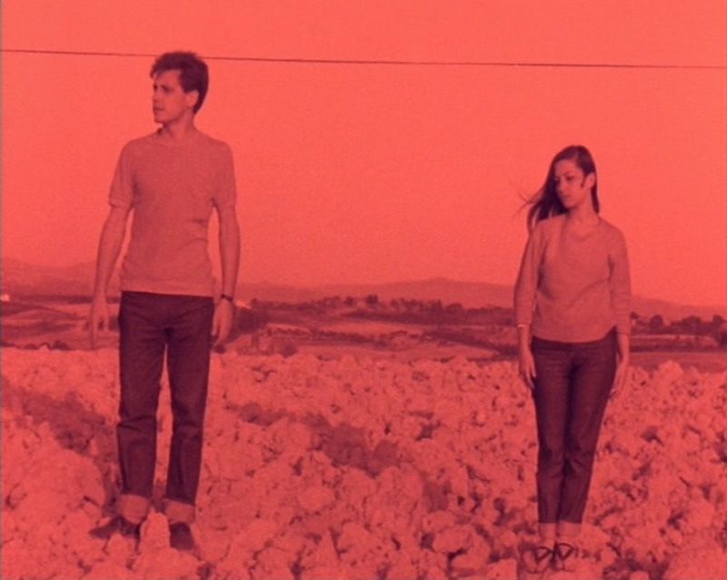 Luca Maria Patella Terra animata