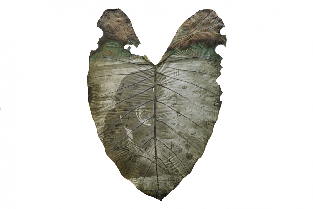 Natalia Ortiz Mantilla (Colombia), Vincitrice XIII PHOTO IILA, “Huele a lluvia”, 2019