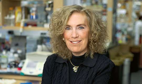 La prof. Elaine Fuchs (foto: media.hhmi.org)