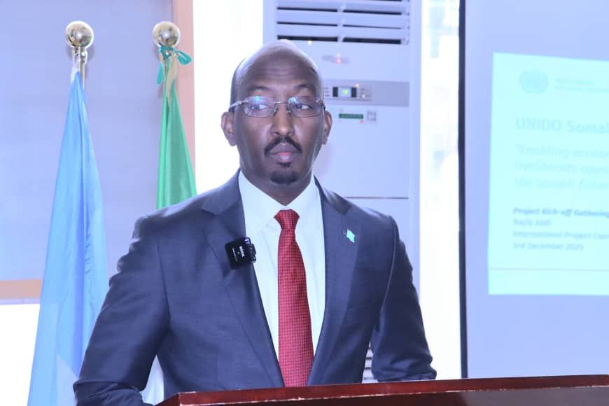 Somalia e Italia lanciano iniziativa per sviluppo della pesca sostenibile - foto: Ambasciata