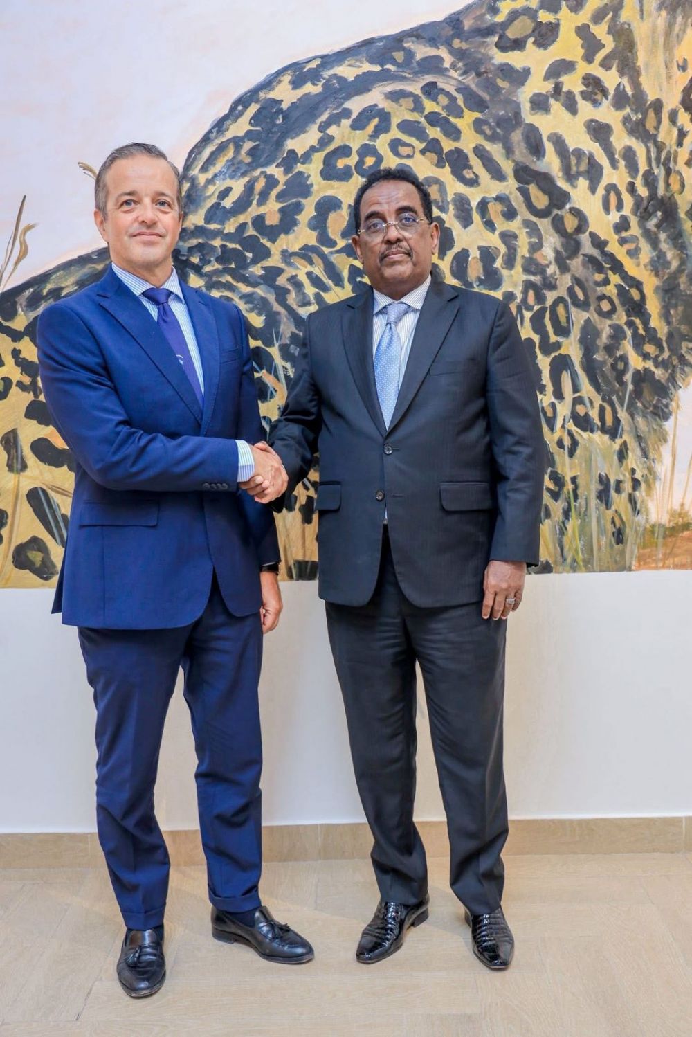 Somalia: amb. Dacc&ograve; Coppi incontra Hosh, ministro degli Interni - foto: Ambasciata
