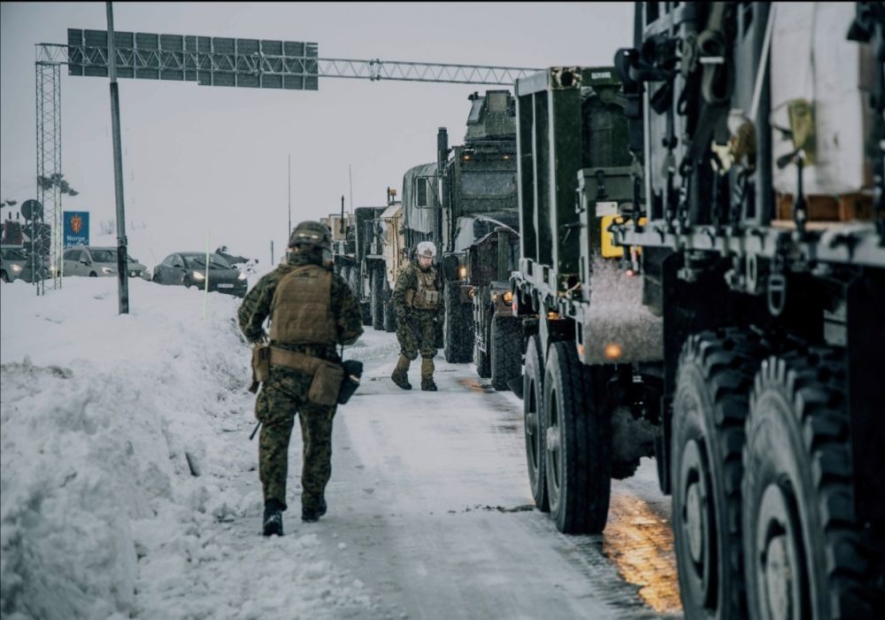 NATO: esercitazione Cold Response26, NATO con Italia in Finlandia