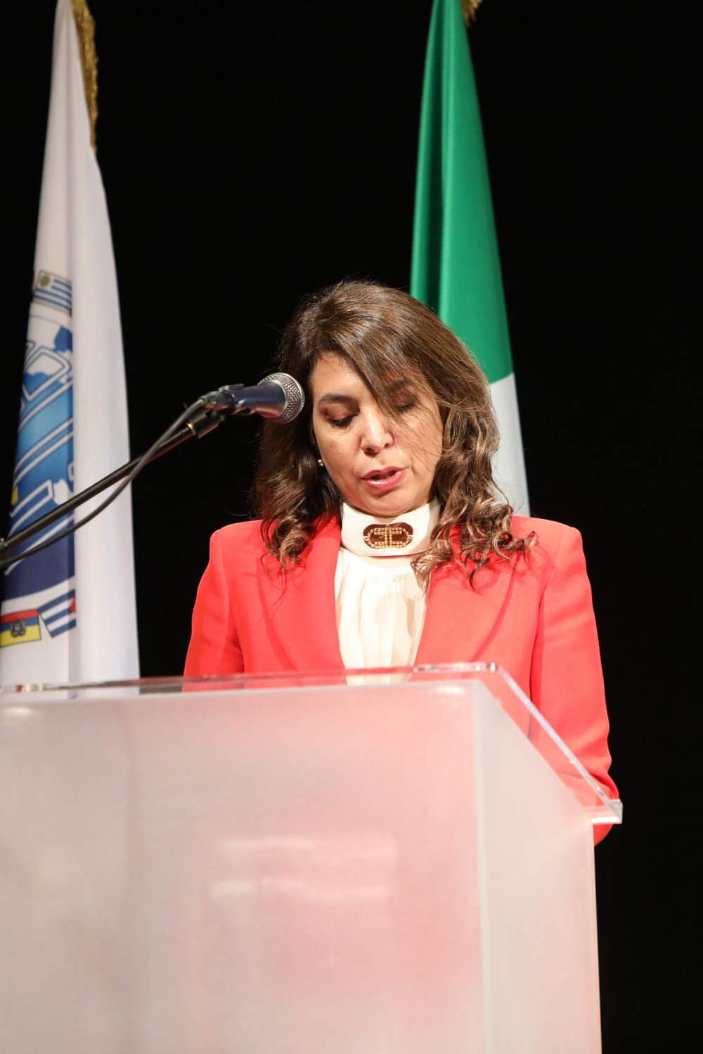 Il presidente di IILA e ambasciatore di Colombia, Ligia Margarita Quessep - foto: IILA