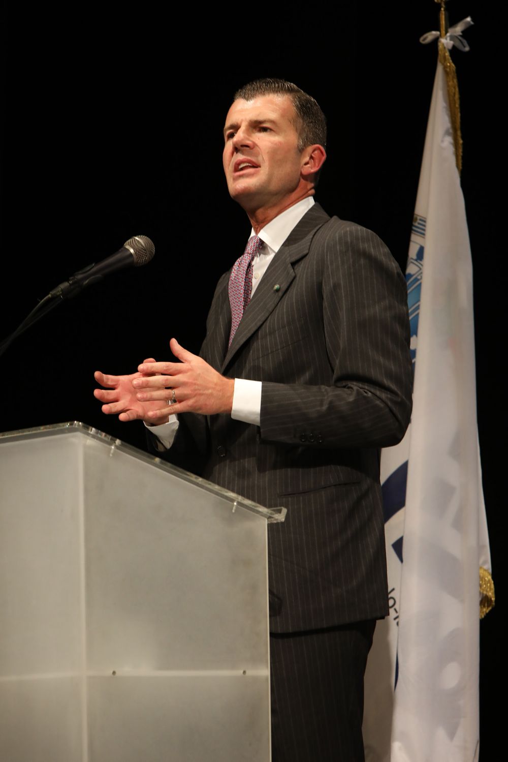 Giorgio Silli - foto: IILA