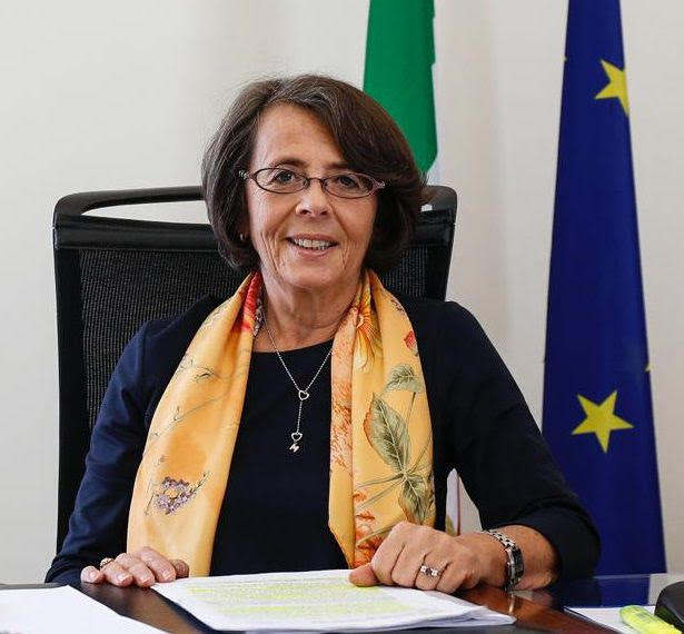 Viceministro Marina Sereni